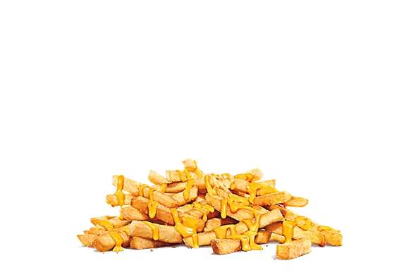 Cheesy Loaded Fries