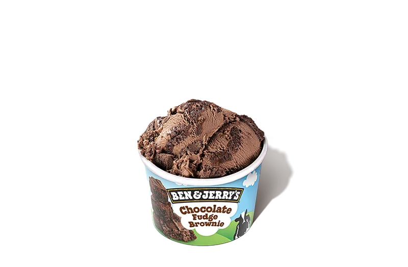 B&J Choco Fudge Brownie 100ml